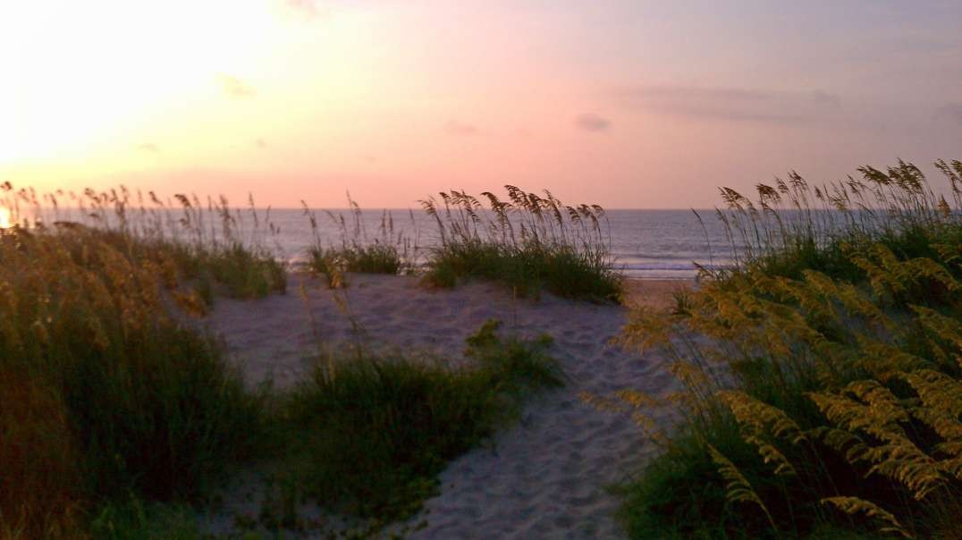 Brother Fun at the OBX